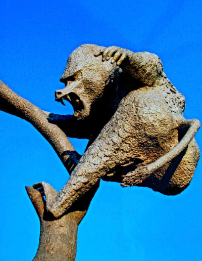 Baboon